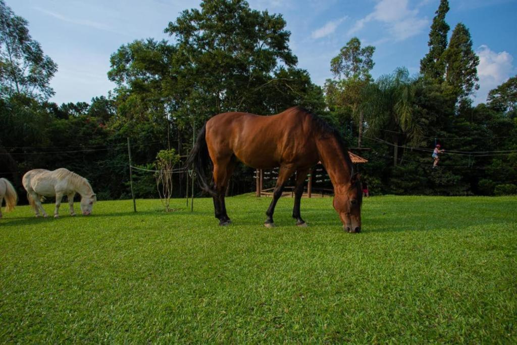 Aldeia Parque Pousada Rural São Roque Exteriér fotografie