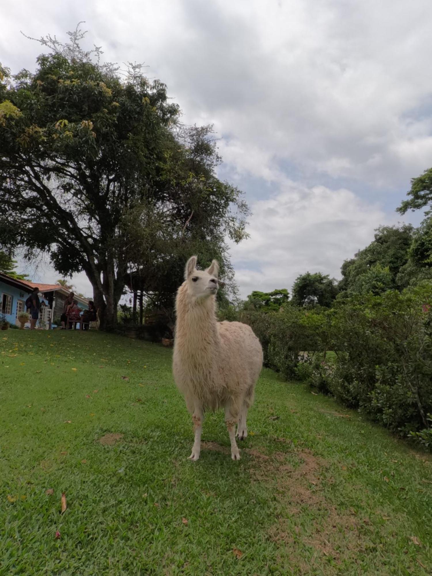 Aldeia Parque Pousada Rural São Roque Exteriér fotografie