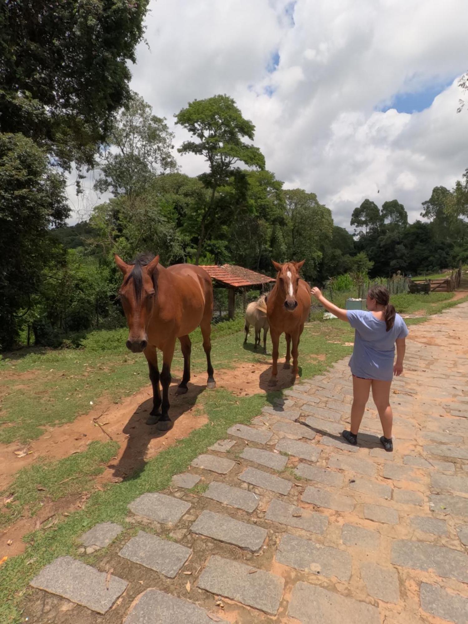 Aldeia Parque Pousada Rural São Roque Exteriér fotografie